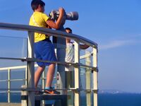 no name ( ID=2426957 ); No comments