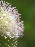 Въздушно; comments:1