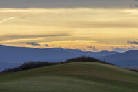 Есенно поле рано сутрин; comments:3