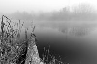 Мъгливо утро; Няма коментари