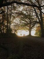 Light; Коментари:2