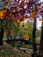 без име ( ID=2444090 ); Коментари:4