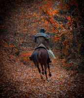 Autumn riders.; comments:7