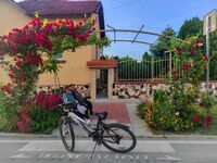 без име ( ID=2470599 ); Коментари:4