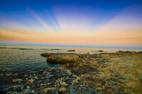 Sea Shine; Коментари:2