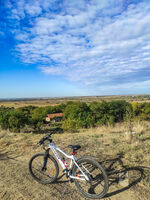 без име ( ID=2486039 ); Коментари:4