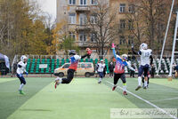 Bears vs Sharks - 19 Nov 2023; Коментари:2