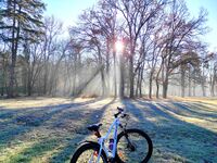 без име ( ID=2494257 ); Коментари:2