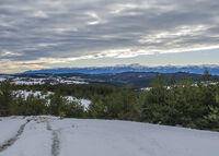 no name ( ID=2494524 ); comments:3