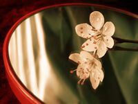без име ( ID=2501103 ); Коментари:4