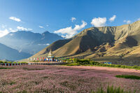 Jangchub chorten; comments:8