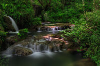 Крушунски водопад; comments:4