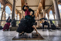 Flamenco / Sevilla 2024; comments:3
