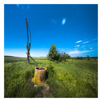 no name ( ID=2511819 ); comments:4