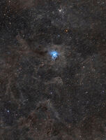 NGC 7023 - Мъглявината Ирис; comments:3