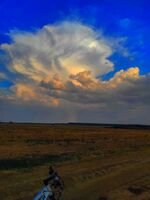 без име ( ID=2520805 ); Коментари:3