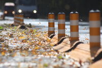 no name ( ID=2525093 ); comments:2