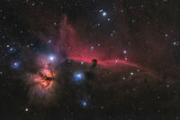 Horsehead nebula; comments:6