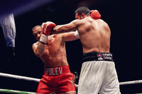 Kubrat Pulev vs. Mahmoud Charr - 07.12.2024; No comments