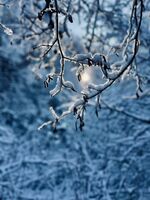 Winter framework; Коментари:4