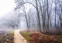 Късна есен; comments:6