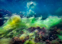 Подводен хаос; Коментари:1