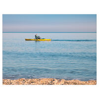 без име ( ID=2537161 ); Коментари:5