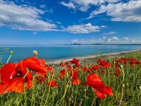 no name ( ID=2548589 ); comments:2