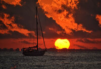 Мечта; Коментари:7