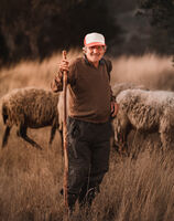 no name ( ID=2553858 ); comments:7