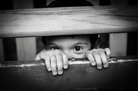    скрих се....; comments:27