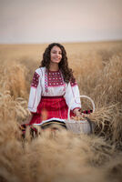 no name ( ID=2554012 ); comments:4