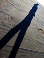 no name ( ID=2554813 ); No comments