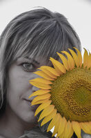 Лицето на лятото; Коментари:2