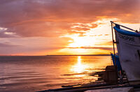 без име ( ID=2558332 ); Коментари:3