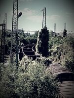 Запустяло; Няма коментари