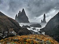 no name ( ID=2562738 ); No comments