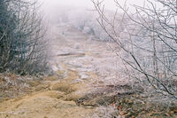 Скреж по билото; comments:2