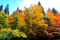 Есен.; comments:7