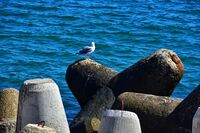 Почивка; No comments