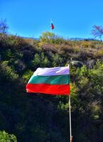 без име ( ID=2564387 ); Коментари:1