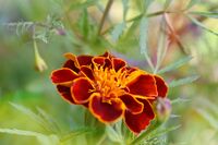 no name ( ID=2564417 ); comments:3