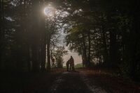 без име ( ID=2564526 ); Коментари:2