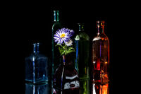 ***; Коментари:3