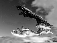 Ягуар; comments:1