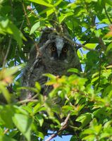 no name ( ID=2564654 ); No comments