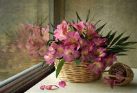 Лято 2025; comments:46