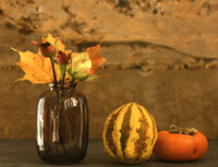 no name ( ID=2565408 ); comments:13