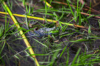 no name ( ID=2565409 ); comments:2