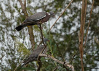 no name ( ID=2565499 ); comments:2